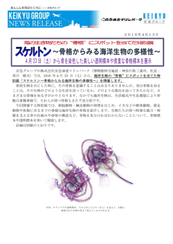 印刷用 報道発表資料はこちら