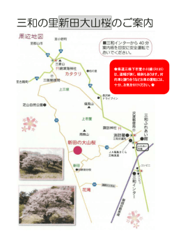 三和の里新田大山桜のご案内