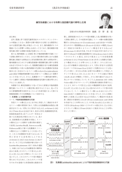 嫌気性細菌における特異な脂肪酸代謝の解明と応用