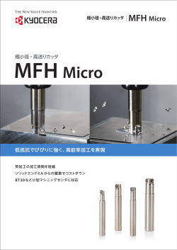 MFH Micro