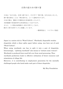 自然の恵み木の割り箸