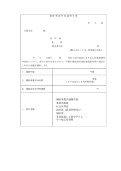 補助事業実績報告書 ・事業実施書 ・収支決算書 ・請求書