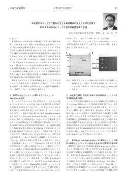糸状菌のユニークな代謝系を支える新規酵素の発見と多
