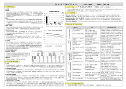 概要（PDF：299KB）