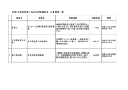 平成28年度協働たねまる活動補助金 対象事業一覧