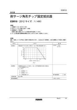 ESR10 : 抵抗器