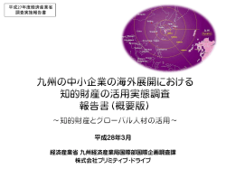 （概要版）（PDF:4670KB）