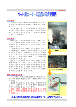 ペット用ヒータ - Biglobe