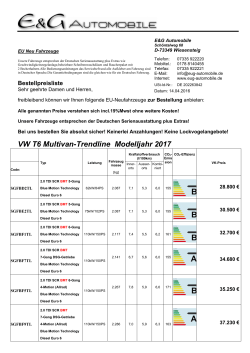 VW T6 Multivan Trendline