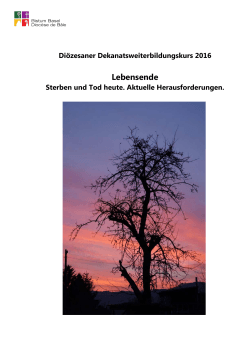 2016 DWK Hochdorf LU-Habsburg 2016 – Programm