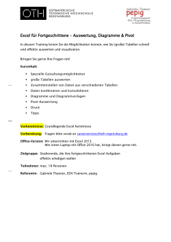 Excel für Fortgeschrittene – Auswertung