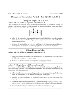 Übungen zur Theoretischen Physik 2 – Blatt 5 (19.05.