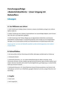 L&ouml;sungen - focusTerra