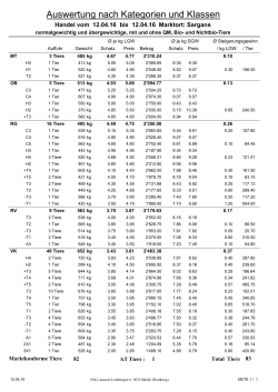 Auswertung nach Kategorien und Klassen