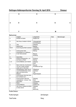 Dressurprogramm