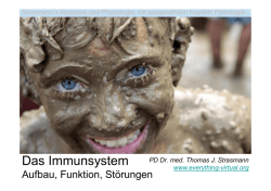 Immunsystem - everything