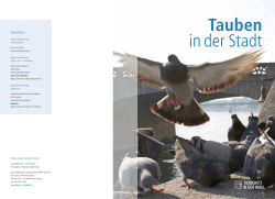 Tauben in der Stadt - Universität Basel