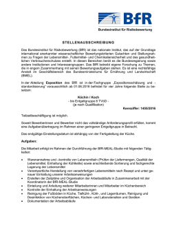 Köchin/Koch in der Abteilung Exposition des Bundesinstituts für
