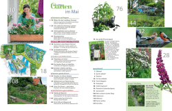 im Mai - Mein sch&ouml;ner Garten