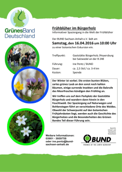 Frühblüher im Bürgerholz Samstag,den 16.04.2016um10:00 Uhr