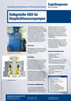 HGH-Halbgeteilte Dichtung f