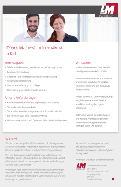 IT-Vertrieb Innendienst - L und M Business IT GmbH