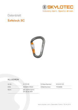 Datenblatt Safelock SC
