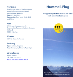 Hummel-Flug