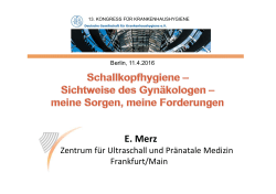 Referat im PDF