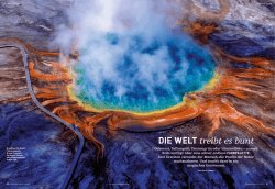 Link zur Ausgabe - Stefan Muntwyler | Pigmente