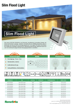Slim Flood Light