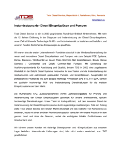 Instandsetzung der Diesel Einspritzd&uuml;sen und Pumpen
