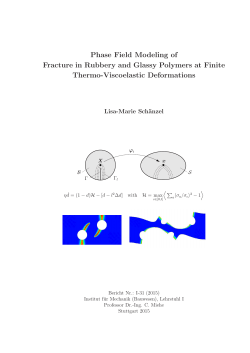 Phase Field Modeling of Fracture in Rubbery and Glassy Polymers