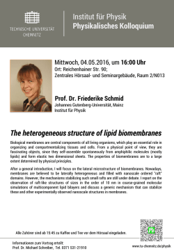 Institut f&uuml;r Physik Physikalisches Kolloquium The heterogeneous