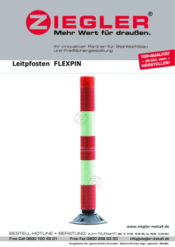 Leitpfosten FLEXPIN