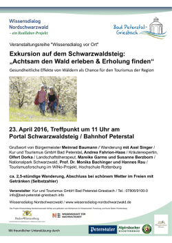 Exkursion auf dem Schwarzwaldsteig: „Achtsam den Wald erleben