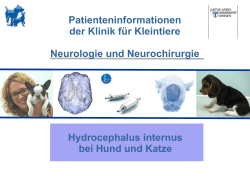 Patienteninformationen der Klinik für Kleintiere Neurologie und