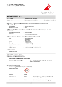 grease speed 10 l
