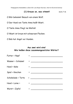 (1) Kreuze an, was stimmt! O Bibi bekommt Besuch von einem Wolf