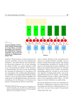 Inhibition: Photorezeptoren werden horizontal mit