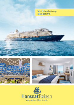 Schiffsbeschreibung: Mein Schiff 5