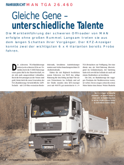 Gleiche Gene &ndash; unterschiedliche Talente - KFZ