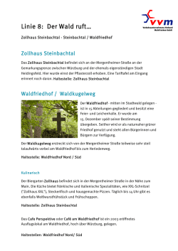 Linie 8: Der Wald ruft…