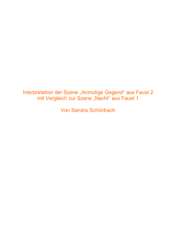 Interpretation der Szene &bdquo;Anmutige Gegend&ldquo; aus Faust 2 mit