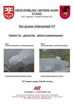 Unterschied - Trüssel + Partner AG
