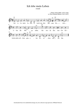 Ich lebe mein Leben - Waldorfschoolsongs