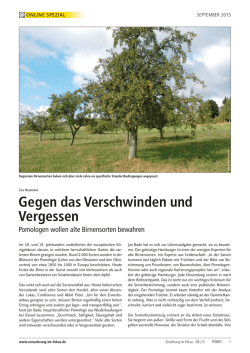 Gegen das Verschwinden und Vergessen