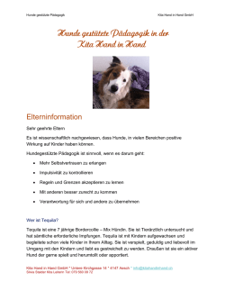 Hunde gest&uuml;tzte P&auml;dagogik in der Kita Hand in Hand