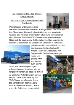Die Tischlerlehrlinge des zweiten Lehrjahres des BSZ&ndash;Zschopau