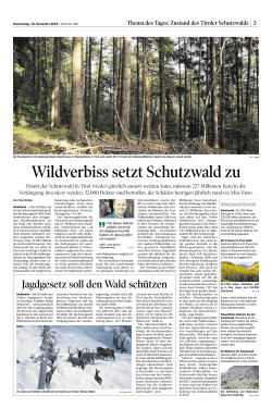 Wildverbiss setzt Schutzwald zu